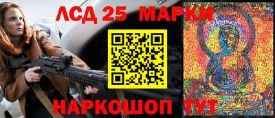 амф Новодвинск