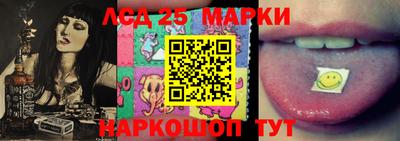 амф Новодвинск