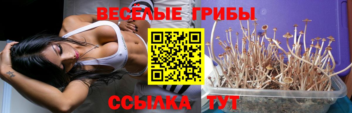 Псилоцибиновые грибы мухоморы  Вход с VPN  Реутов  Псилоцибиновые грибы ЛСД 